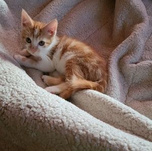 Meet your Posher, Hope